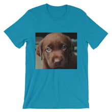 Puppy t-shirt