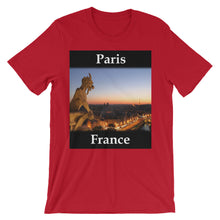 Paris t-shirt