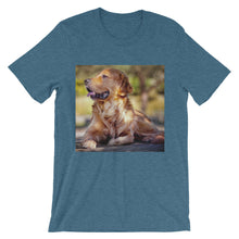 Dog t-shirt