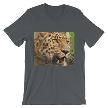 Leopard t-shirt