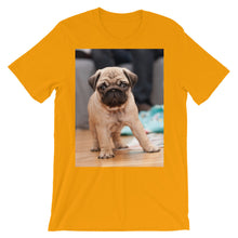 Pug t-shirt