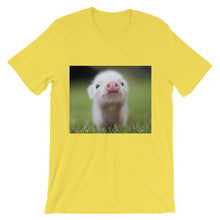 Piglet t-shirt