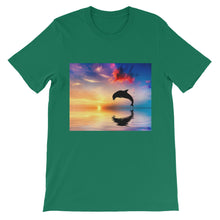 Dolphin t-shirt
