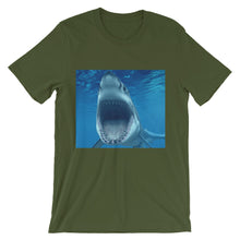 Shark t-shirt
