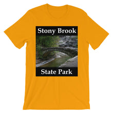 Stony Brook t-shirt