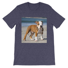 Dog t-shirt