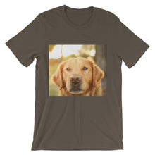 Dog t-shirt