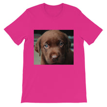 Puppy t-shirt