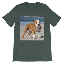 Dog t-shirt