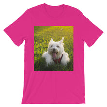 Dog t-shirt