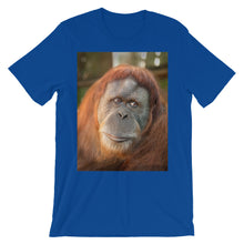 Endangered Species t-shirt
