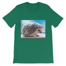 Hedgehog t-shirt
