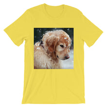 Dog t-shirt