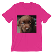 Puppy t-shirt