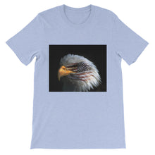 American Eagle t-shirt