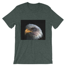 American Eagle t-shirt
