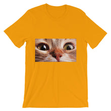 Cat t-shirt