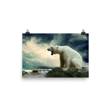 Polar Bear poster