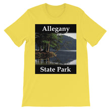 Allegany State Park t-shirt