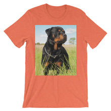 Rottweiler t-shirt