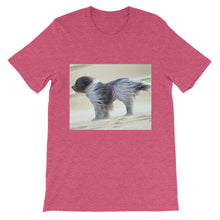 Dog t-shirt