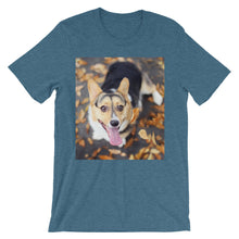 Corgi t-shirt