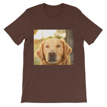 Dog t-shirt