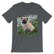 Pug t-shirt