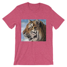 Tiger t-shirt