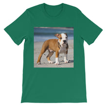 Dog t-shirt