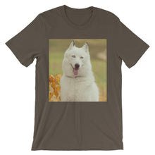 Dog t-shirt