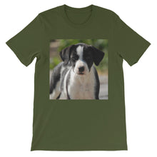 Dog t-shirt