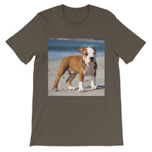 Dog t-shirt