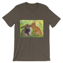Rabbits t-shirt