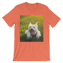 Dog t-shirt