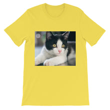Kitten t-shirt
