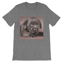 Puppy t-shirt