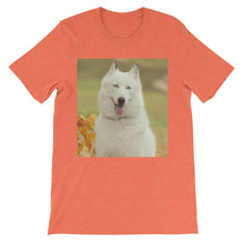 Dog t-shirt