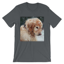 Dog t-shirt