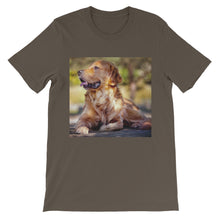 Dog t-shirt