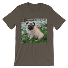 Pug t-shirt