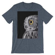 Owl t-shirt
