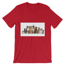 Dog Family Reunion t-shirt