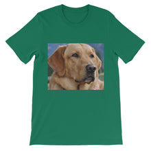 Dog t-shirt