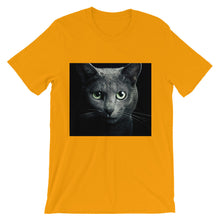 Cat t-shirt