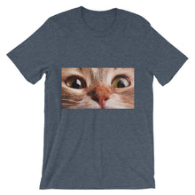 Cat t-shirt