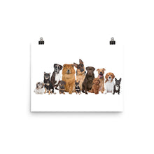 Dog Family Reunion poster