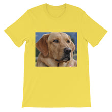Dog t-shirt