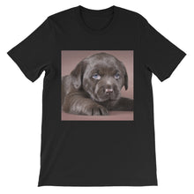 Puppy t-shirt