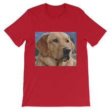 Dog t-shirt